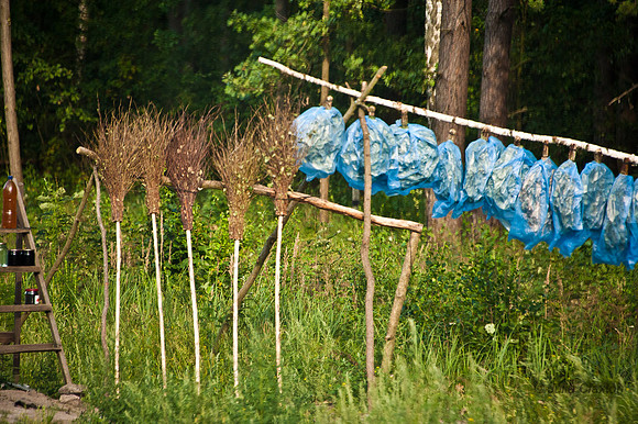 20120729-_JMC6585