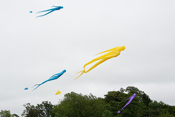 KITE_074