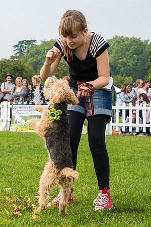 20140906-DSC_1488