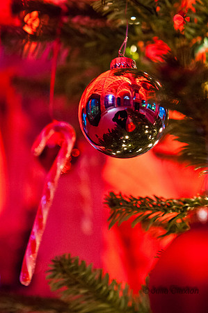 20121218-_JMC0449