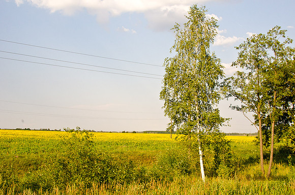 20120727-_DSC5772