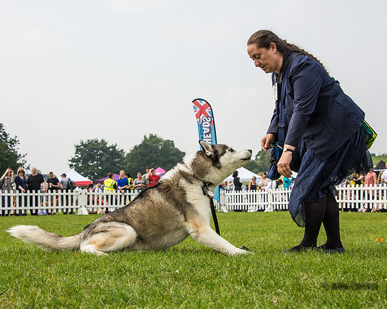 20140906-DSC_1539