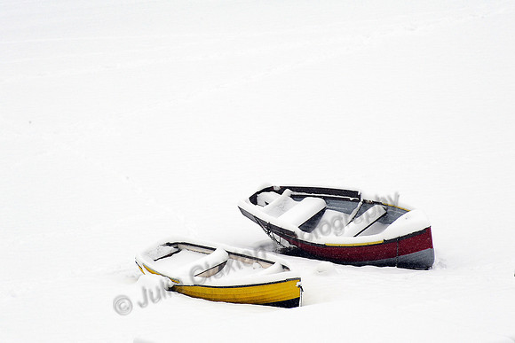 Snow JMC_2655