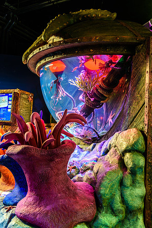 94-20180208-_JC27346