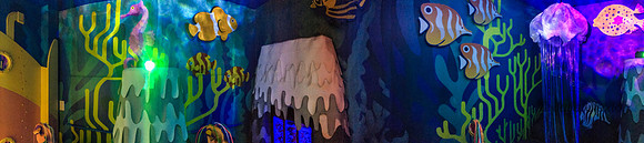 41-20160201-7555