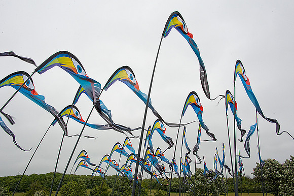 KITE_028