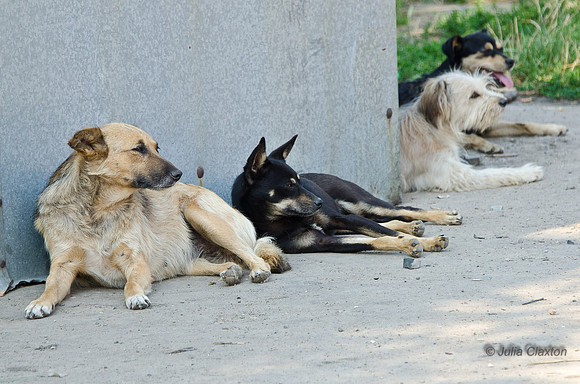 20120728-_DSC5787