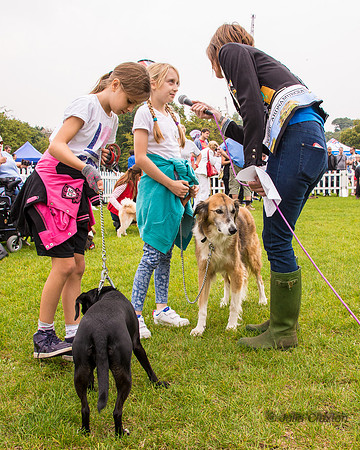 20140906-DSC_1436