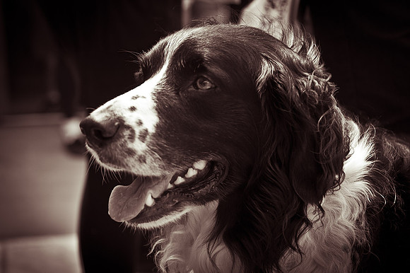 20120616-JMC_3601