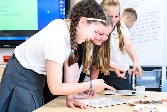 242-20180606-DSC_8344
