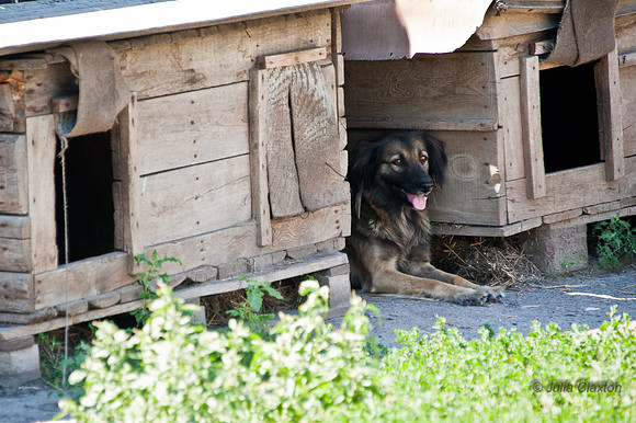 20120730-_JMC6725
