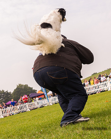 20140906-DSC_1535