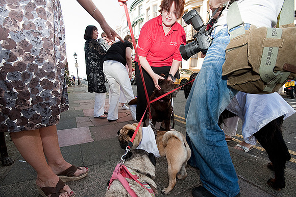 K9RW_JMC_0400
