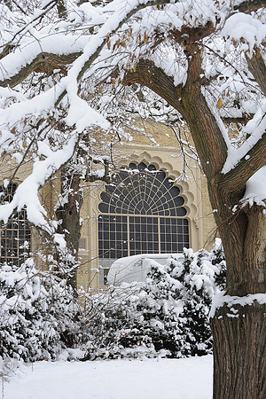 Snow JMC_2676