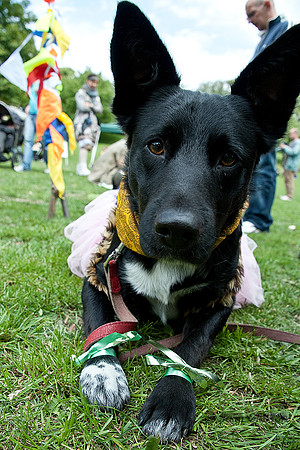 20110619_2715