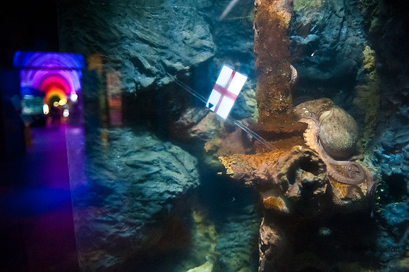20120615-JMC_3544