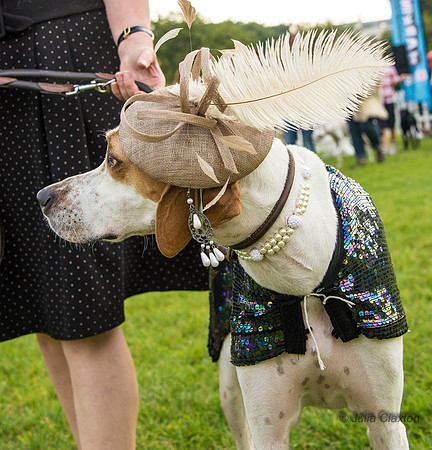 20140906-DSC_1705