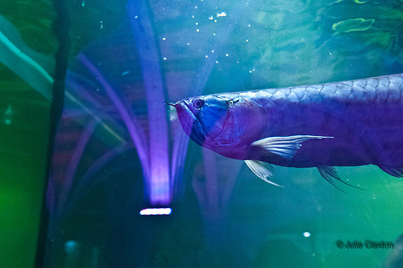 20120516-JMC_1242