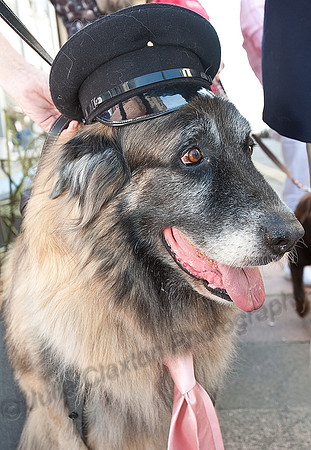 K9RW_JMC_0391