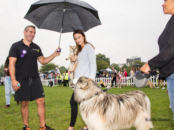 20140906-DSC_1303
