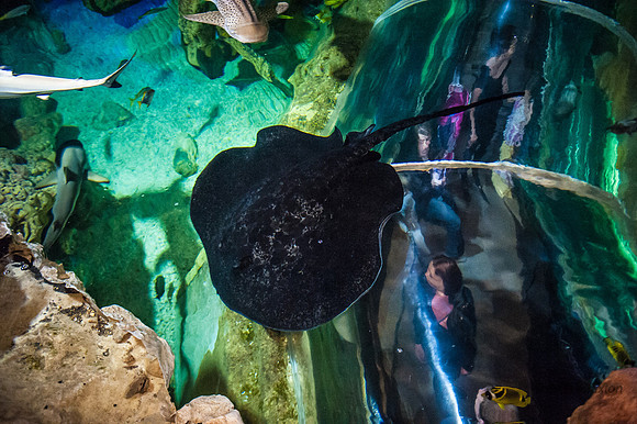 20130428-_JMC9765