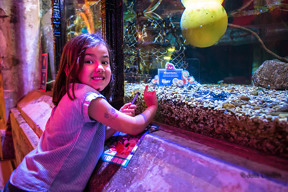 36-20160715-_DSC6282