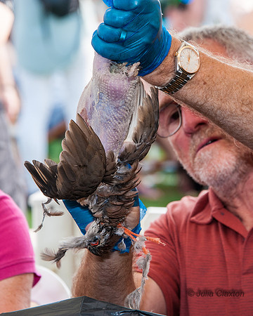 20140907-_JMC2882