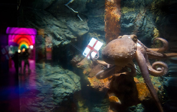 20120615-JMC_3546