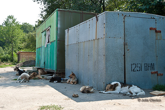 20120728-_JMC6234