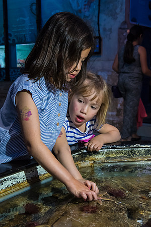 52-20160715-_DSC6009