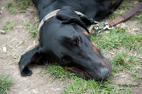 20110619_2685