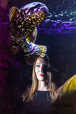 38-20160706-_DSC4410