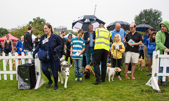 20140906-DSC_1296