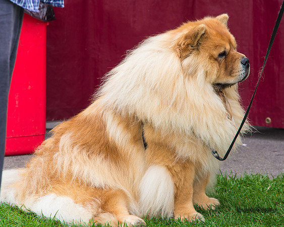 20140906-DSC_1414