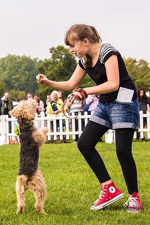 20140906-DSC_1483