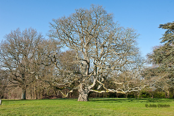 120310-6461