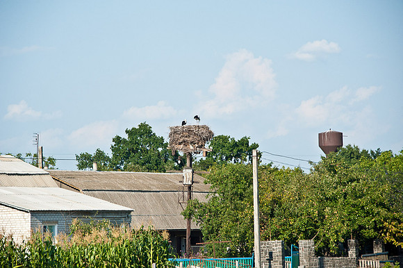 20120729-_JMC6571