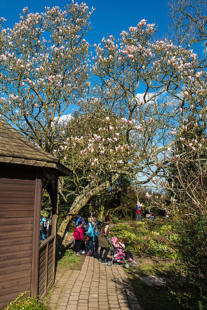 20160325-_DSC4734