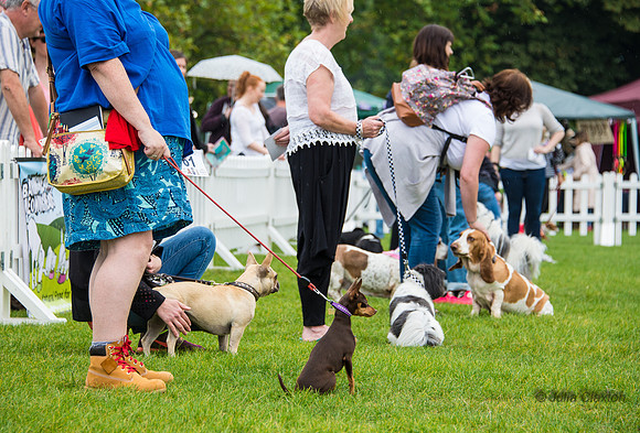 20140906-DSC_1261