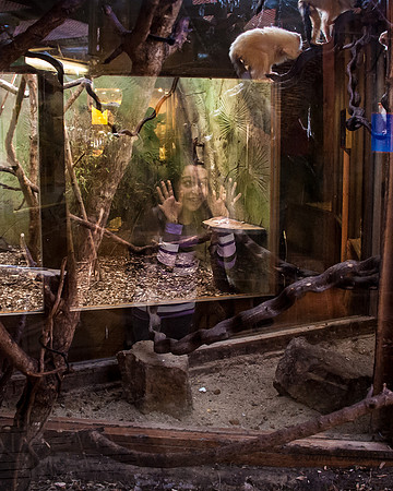 20140308-_JC20451