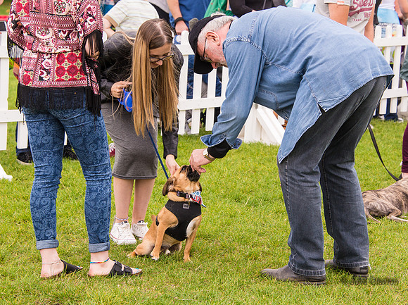 20140906-DSC_1420