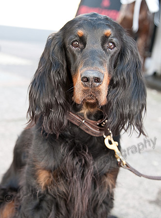 K9RW_JMC_0485