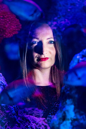 29-20160706-_DSC4384