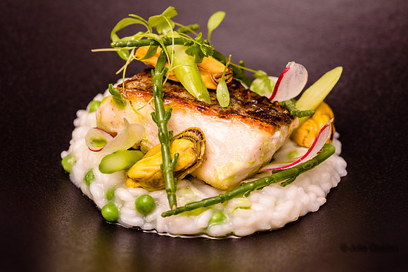 94-20220126-_JC22497