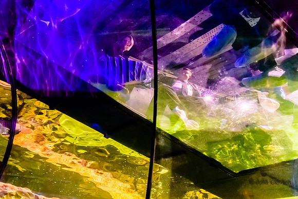 20190718-_JC24165