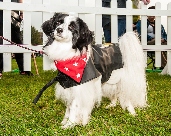 20140906-_JMC2751
