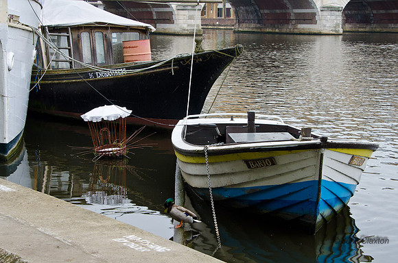 20120627-_DSC5403