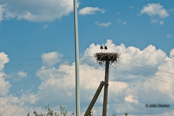 20120729-_JMC6460