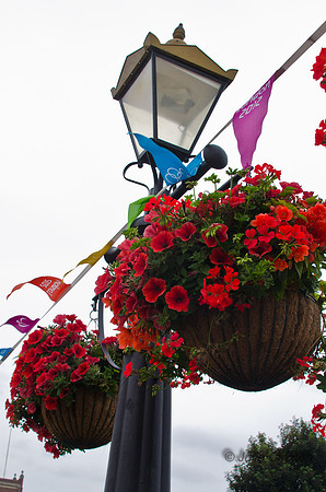 20120627-_DSC5339
