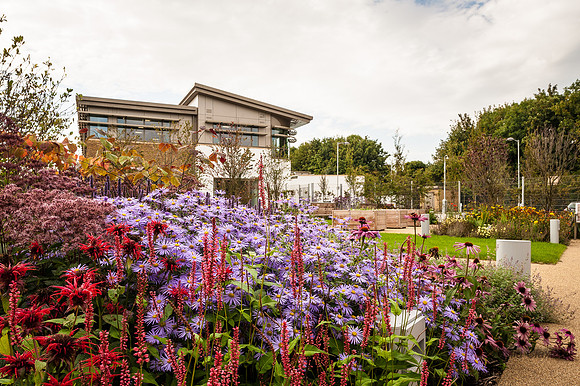 20130930-_DSC8410